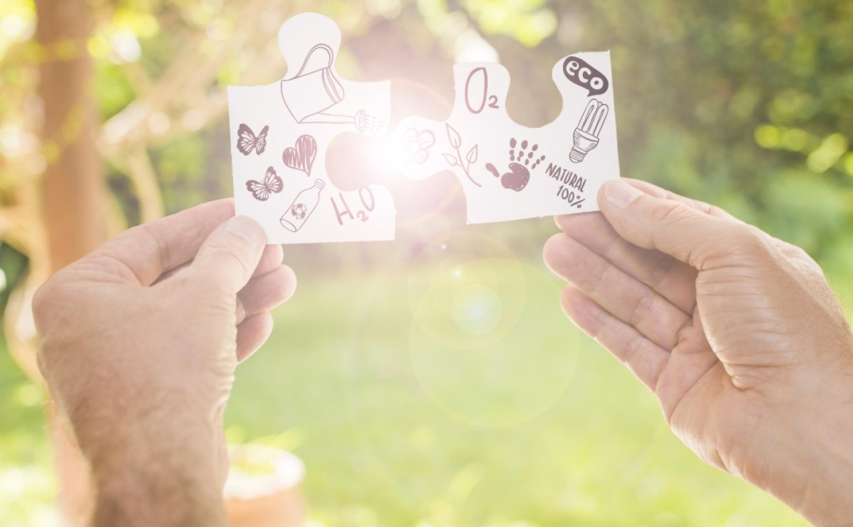 W SP3 i ZSP 1 wprowadzono System Zarządzania Energią - Serwis informacyjny z Wodzisławia Śląskiego - naszwodzislaw.com