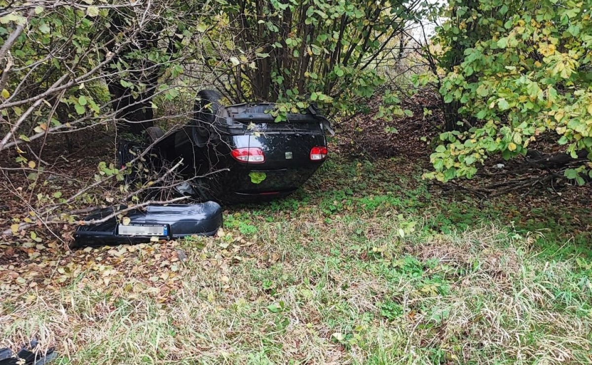 Ciężka noga 18-latka. Podróż zakończył w zaroślach [KOMUNIKAT KPP] - Serwis informacyjny z Wodzisławia Śląskiego - naszwodzislaw.com