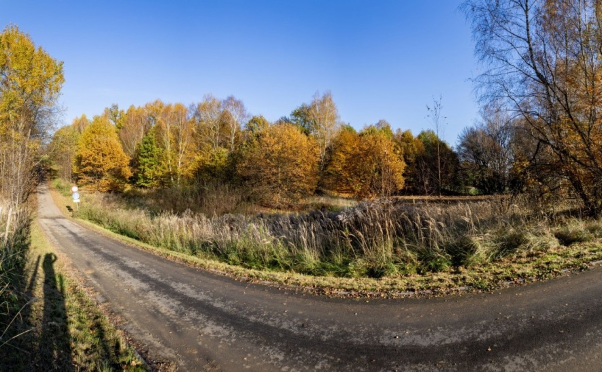Działki na ulicy Głożyńskiej na sprzedaż - Serwis informacyjny z Wodzisławia Śląskiego - naszwodzislaw.com