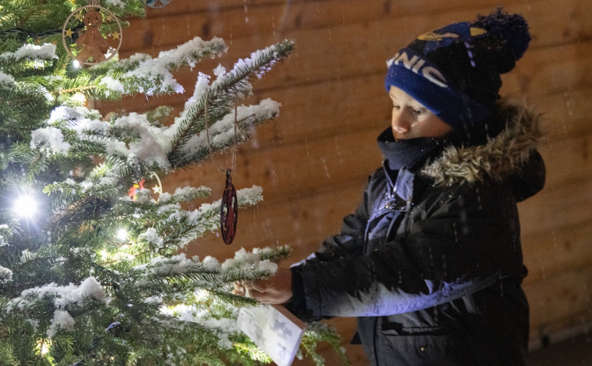 Wodzisław Śląski. Odpalamy święta! Wspólnie rozświetlmy miejską choinkę - Serwis informacyjny z Raciborza - naszraciborz.pl