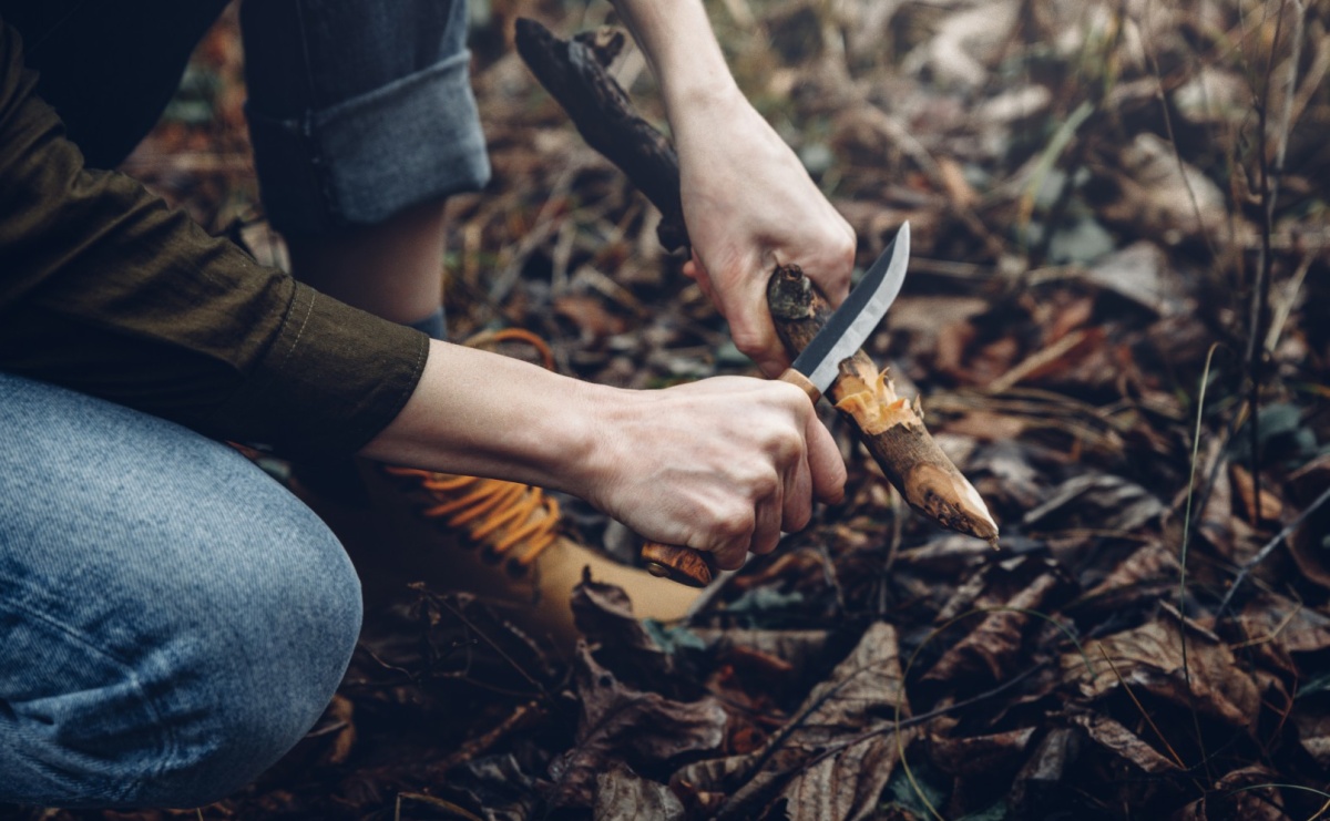 Jak przygotować się do pierwszego biwaku w dziczy: praktyczne porady dla początkujących - Serwis informacyjny z Raciborza - naszraciborz.pl