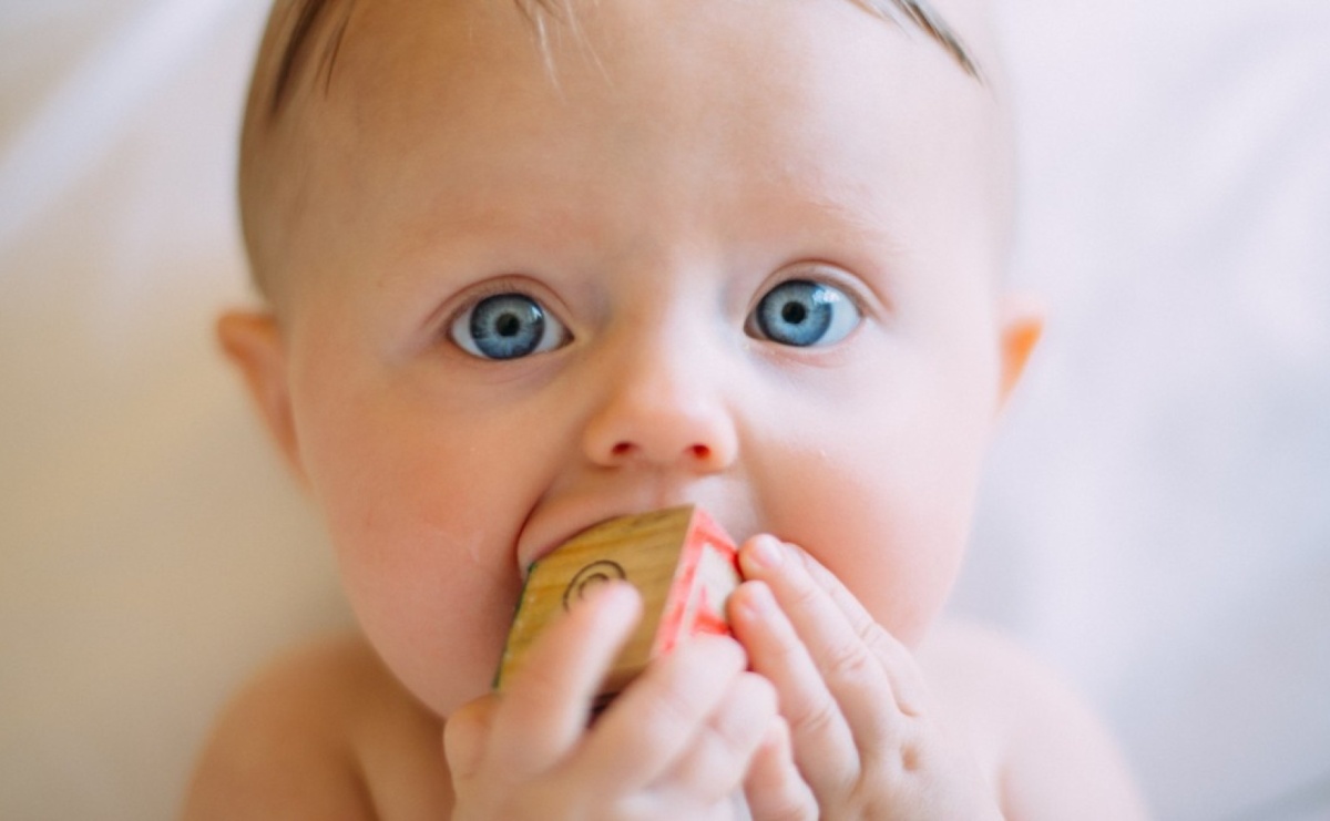 Śluby, zgony, popularne imiona. Podsumowanie roku 2024 w Wodzisławiu Śląskim - Serwis informacyjny z Raciborza - naszraciborz.pl