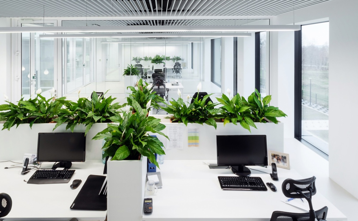 Praca dla handlowców i techników. Sprawdź, czy to coś dla Ciebie! - Serwis informacyjny z Raciborza - naszraciborz.pl