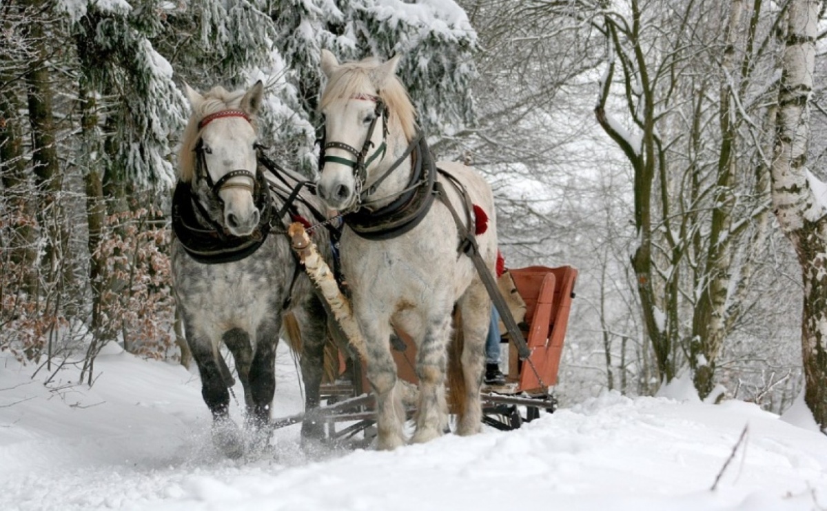 GOKiR Mszana zaprasza na Ferie 2025 - Serwis informacyjny z Raciborza - naszraciborz.pl