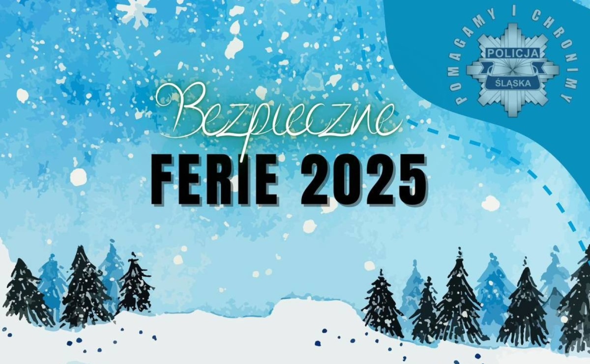 Policyjne rady na bezpieczne ferie zimowe - Serwis informacyjny z Wodzisławia Śląskiego - naszwodzislaw.com