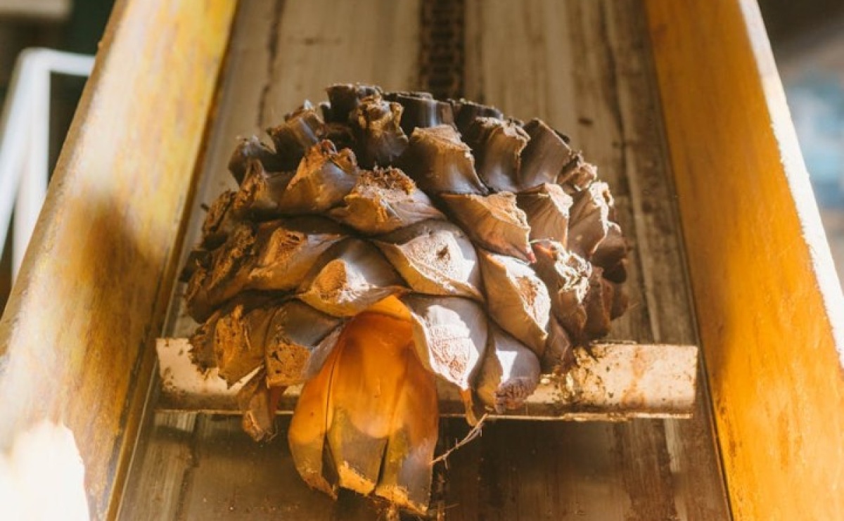 Serwis taśm transportujących w twojej firmie - Serwis informacyjny z Raciborza - naszraciborz.pl