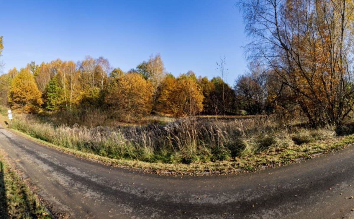 Działka na ulicy Głożyńskiej na sprzedaż - Serwis informacyjny z Raciborza - naszraciborz.pl