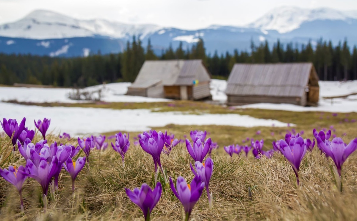 noclegi na wielkanoc w gorach zarezerwuj wczesniej i korzystaj z najlepszych ofert
