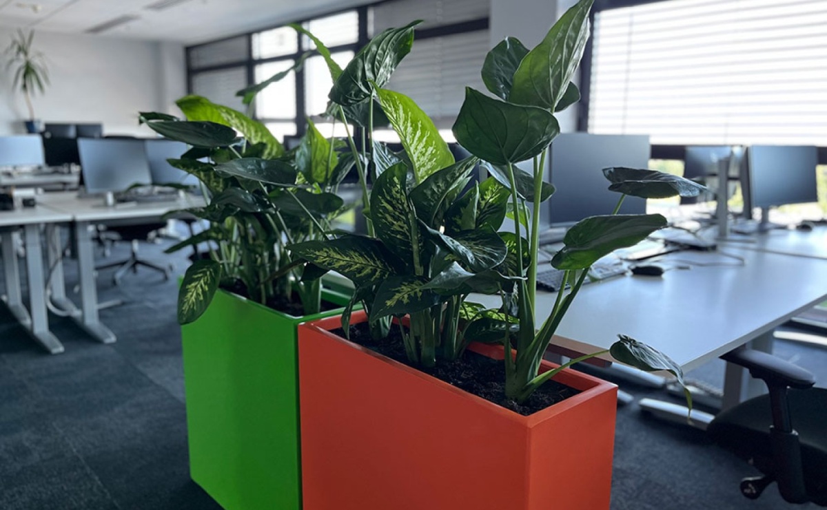 Dlaczego rośliny w biurze to istotny element strategii ESG? - Serwis informacyjny z Raciborza - naszraciborz.pl