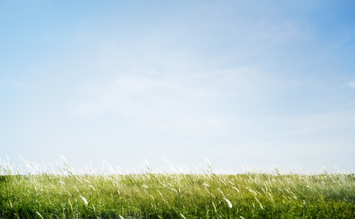 Program Czyste Powietrze wraca 31 marca - Serwis informacyjny z Raciborza - naszraciborz.pl