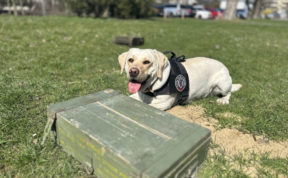 Spotkanie z Krajową Administracją Skarbową w Akademii Nauk Stosowanych w Raciborzu - Serwis informacyjny z Raciborza - naszraciborz.pl