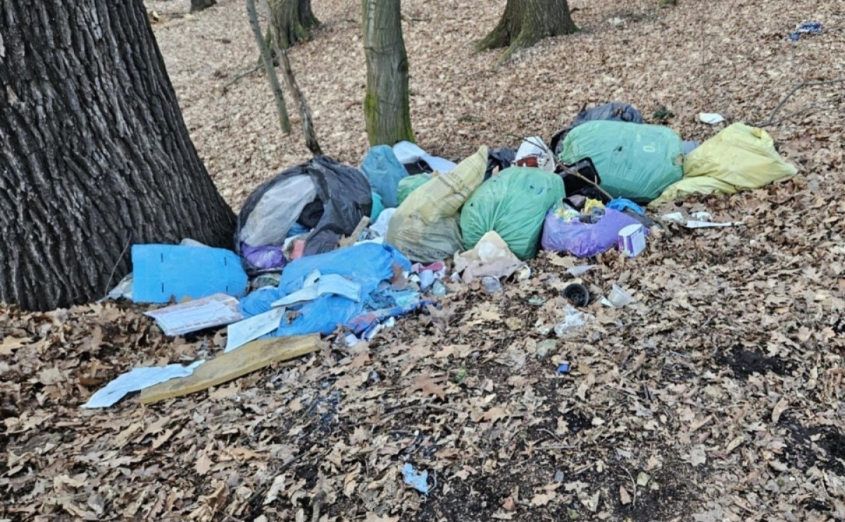 Sprawca zaśmiecenia lasu odpowie przed sądem - Serwis informacyjny z Raciborza - naszraciborz.pl