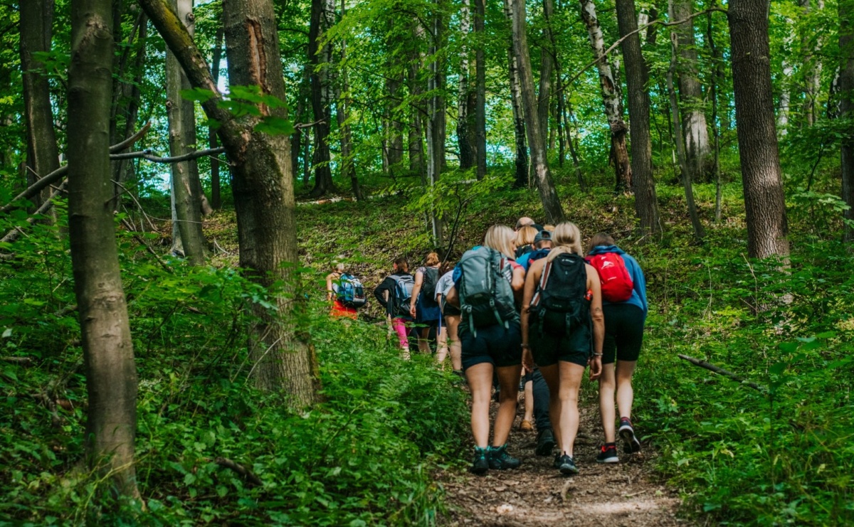 Wodzisław Śląski. W czerwcu rusza cykl wycieczek dla mieszkańców - Serwis informacyjny z Raciborza - naszraciborz.pl