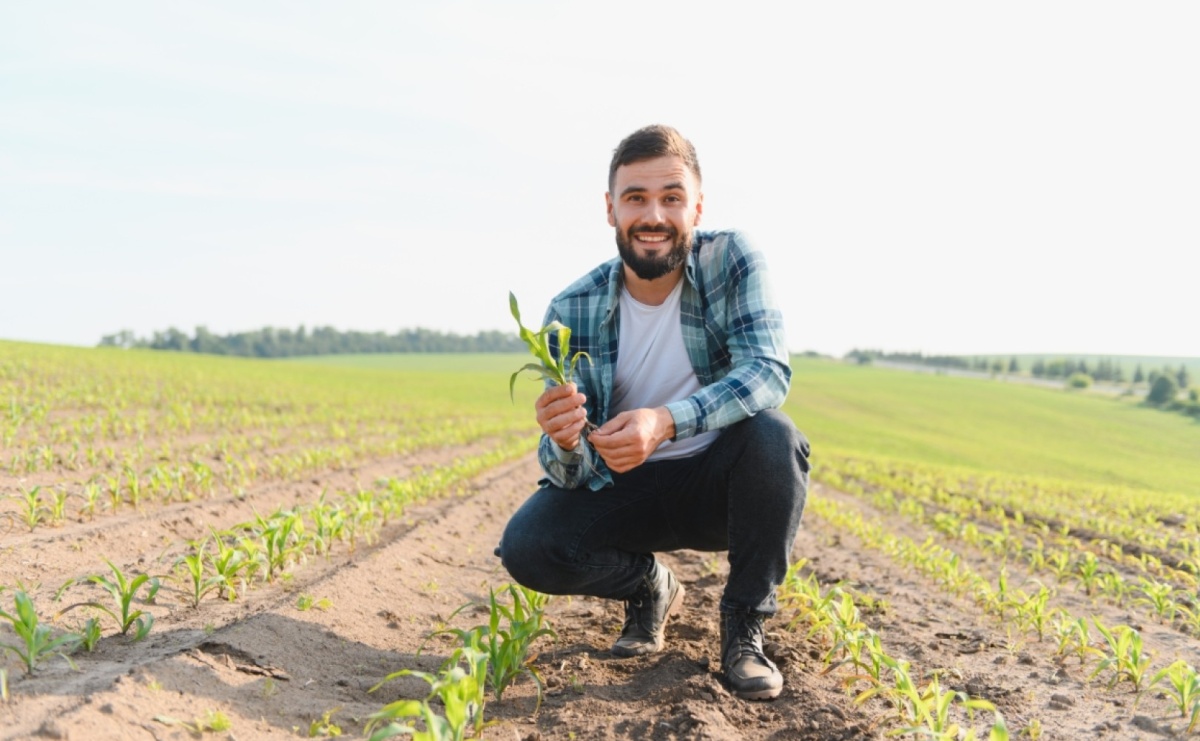 Chcesz prowadzić gospodarstwo lub kupić ziemię? Zacznij od kursu rolniczego - Serwis informacyjny z Raciborza - naszraciborz.pl
