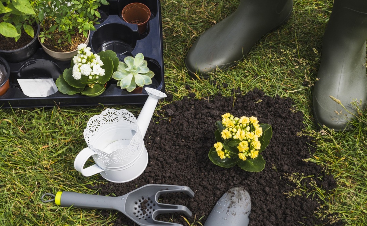 Dotacje dla rodzinnych ogrodów działkowych przyznane - Serwis informacyjny z Raciborza - naszraciborz.pl