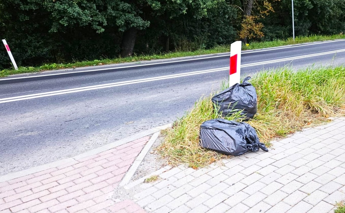 Gmina Gorzyce walczy ze śmieciarzami. Kolejny przypadek wczoraj przy DK 78 - Serwis informacyjny z Raciborza - naszraciborz.pl