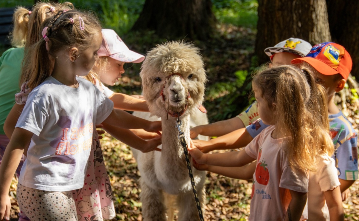Przedszkolaki świętowały 10-lecie Rodzinnego Parku Rozrywki Trzy Wzgórza [FOTO] - Serwis informacyjny z Raciborza - naszraciborz.pl