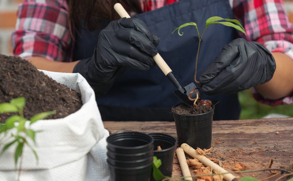 Projekt IntegrujeMY - Ogrody Talentów. Dziś targi warsztatowe - Serwis informacyjny z Raciborza - naszraciborz.pl