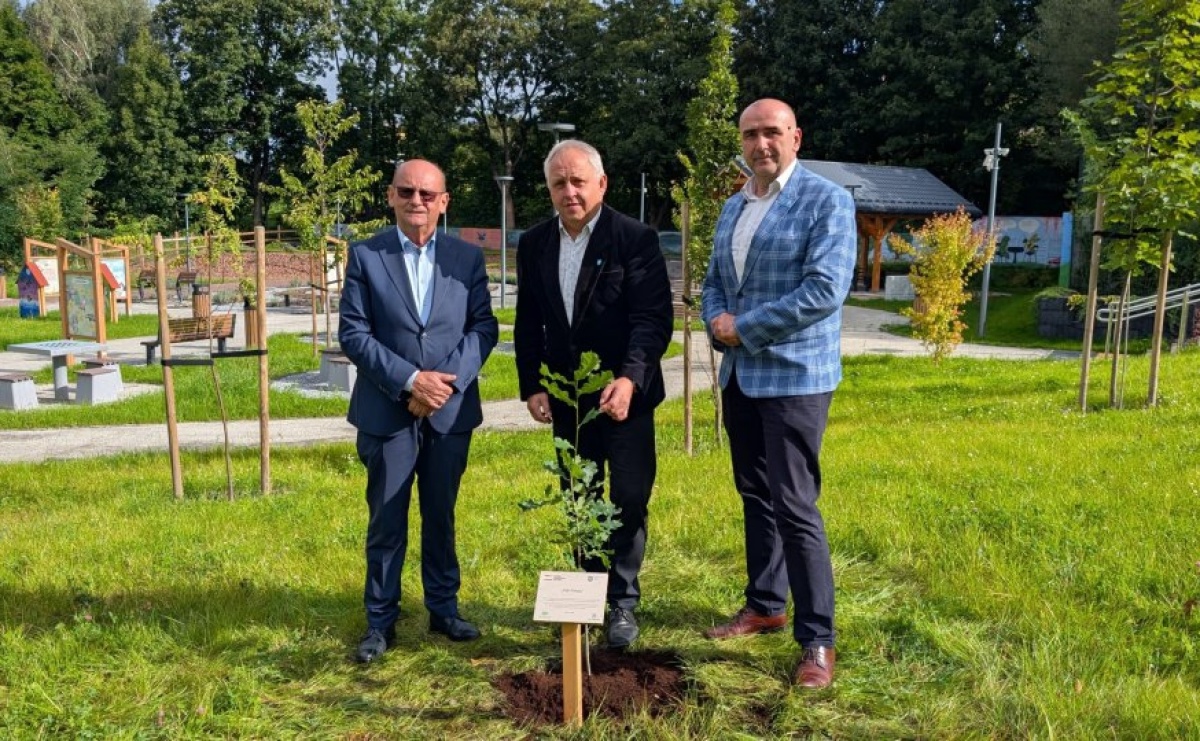 Pszów: W Parku Ryszard posadzono Dąb Pokoju - Serwis informacyjny z Raciborza - naszraciborz.pl