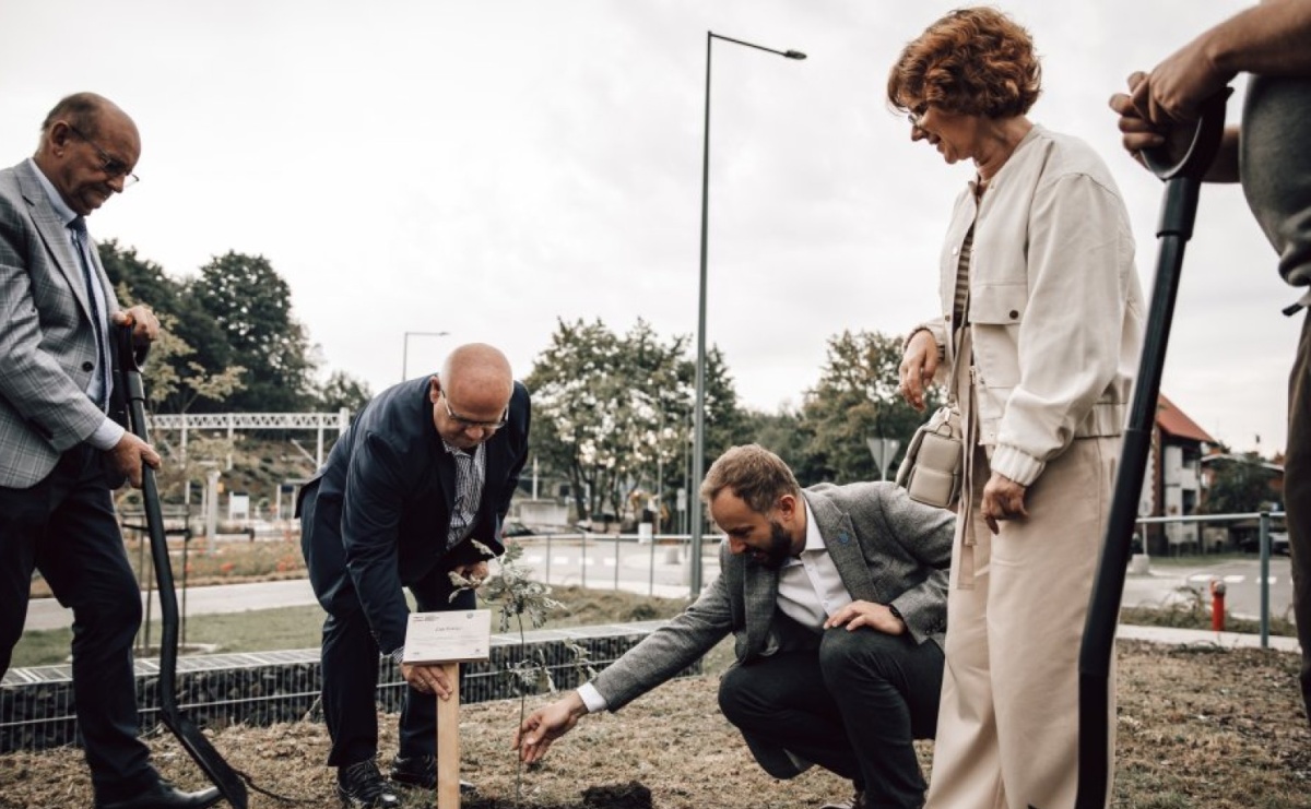 Rydułtowy dołączyły do akcji 80 Dębów Pokoju - Serwis informacyjny z Raciborza - naszraciborz.pl