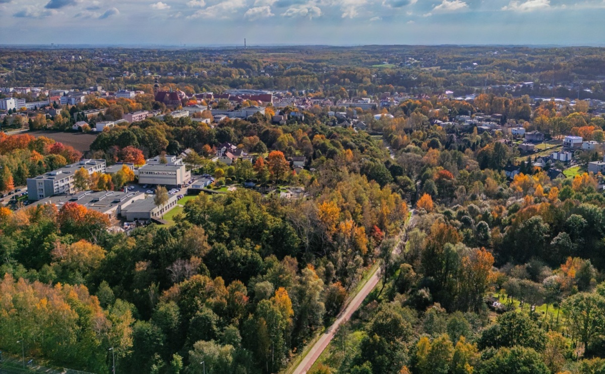 Październik w Wodzisławiu Śląskim [KALENDARZ WYDARZEŃ] - Serwis informacyjny z Raciborza - naszraciborz.pl