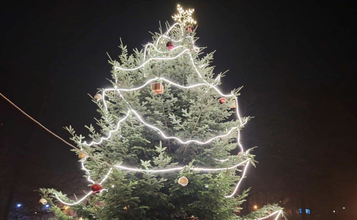 Gmina Mszana poszukuje choinek do świątecznego wystroju sołectw - Serwis informacyjny z Raciborza - naszraciborz.pl