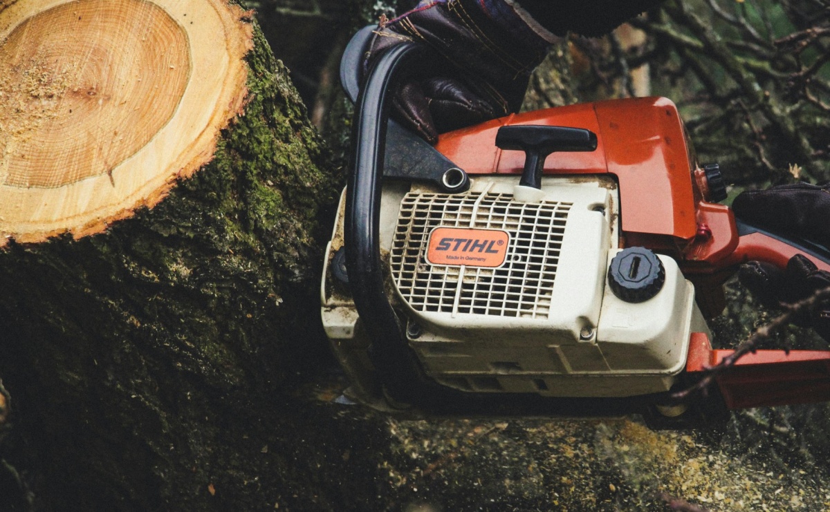 Ulica Grodzisko. Mieszkańcy domagają się wycinki drzew. Czy miasto uwzględni ten postulat? - Serwis informacyjny z Raciborza - naszraciborz.pl