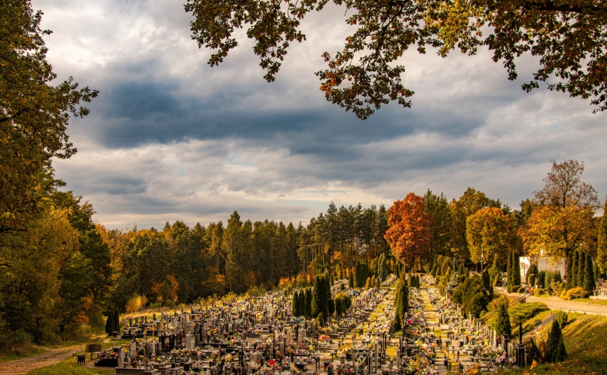 Cmentarz komunalny w Wodzisławiu Śląskim będzie miał nowoczesne oświetlenie solarne - Serwis informacyjny z Raciborza - naszraciborz.pl