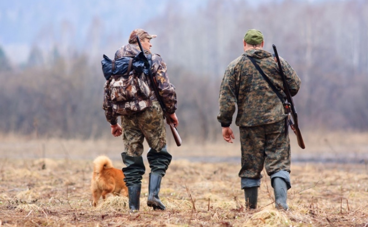 Kalendarze polowań zbiorowych Kół Łowieckich Róg i Lis - Serwis informacyjny z Raciborza - naszraciborz.pl