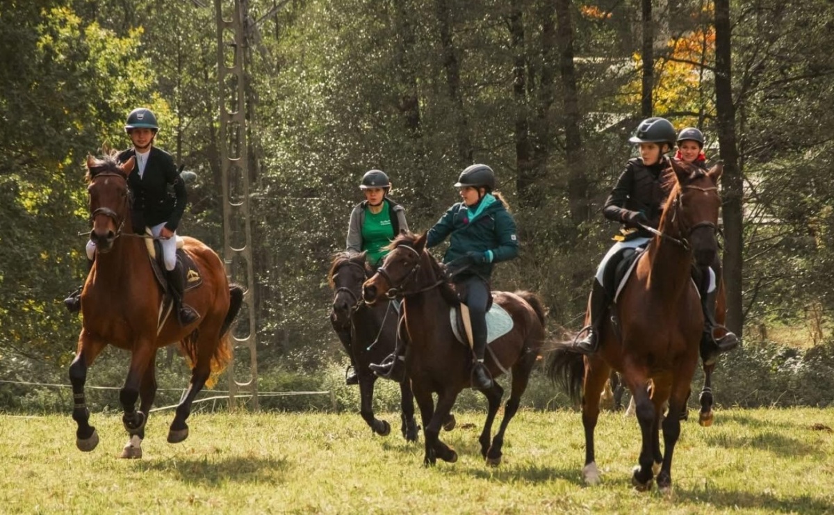 Krostoszowicki Hubertus pełen rywalizacji i pasji jeździeckiej - Serwis informacyjny z Raciborza - naszraciborz.pl