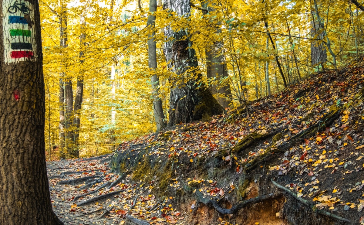 W.A.R.T.O: Kolejne spotkanie w ramach nowego programu działań w dzielnicach - Serwis informacyjny z Raciborza - naszraciborz.pl