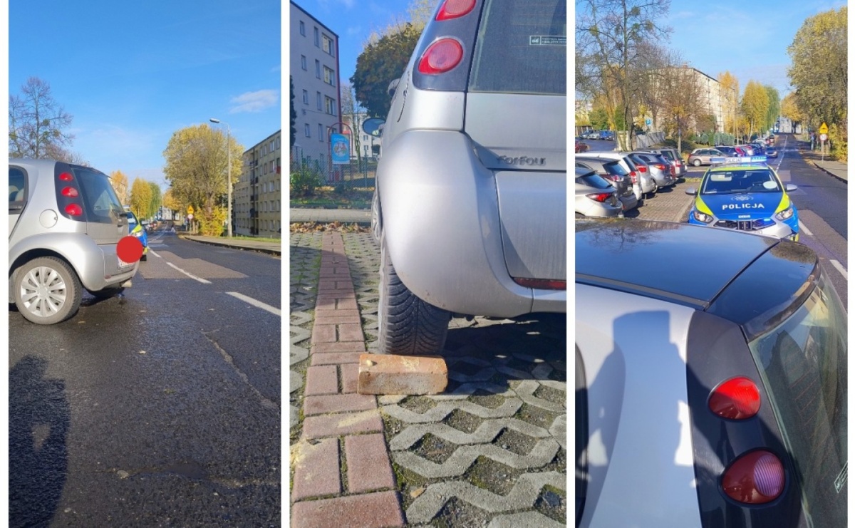 Dwie nietypowe interwencje wodzisławskich policjantów - Serwis informacyjny z Wodzisławia - naszwodzislaw.com