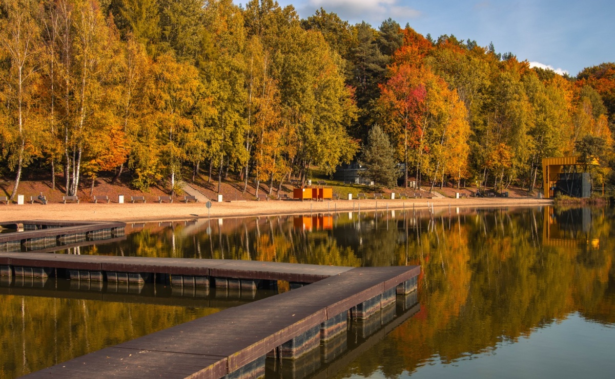 Listopad w Wodzisławiu Śląskim - Serwis informacyjny z Raciborza - naszraciborz.pl