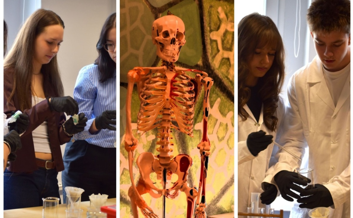 Dwie powiatowe szkoły mają nowoczesne Zielone Pracownie - Serwis informacyjny z Raciborza - naszraciborz.pl