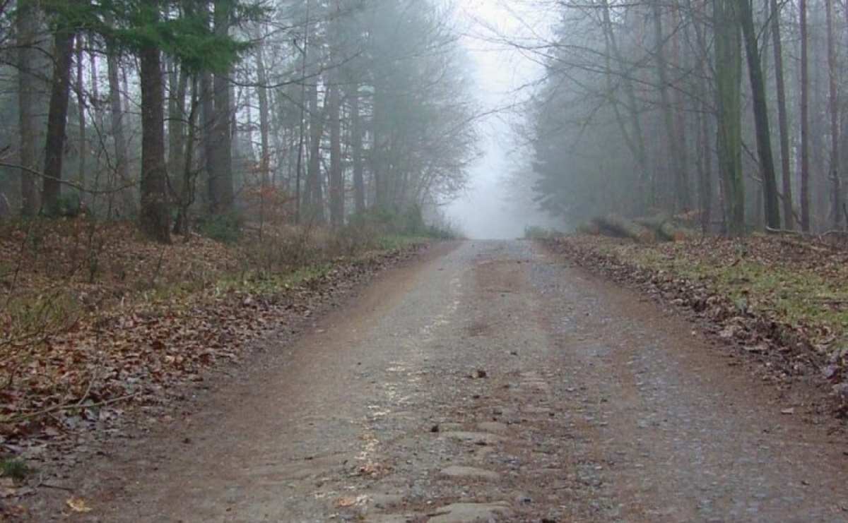 Przez Wodzisław biegła Via Regia? Ciekawe odkrycie w XVII-wiecznych dokumentach - Serwis informacyjny z Raciborza - naszraciborz.pl