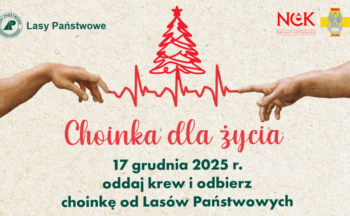 Choinka dla życia: podaruj krew, odbierz świąteczne drzewko - Serwis informacyjny z Raciborza - naszraciborz.pl