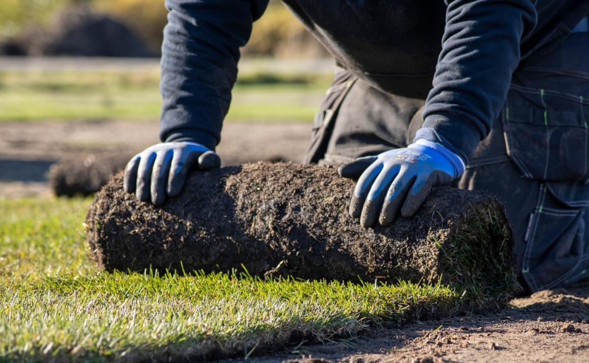 Jak przygotować działkę pod trawę z rolki zimą i wczesną wiosną - Serwis informacyjny z Raciborza - naszraciborz.pl