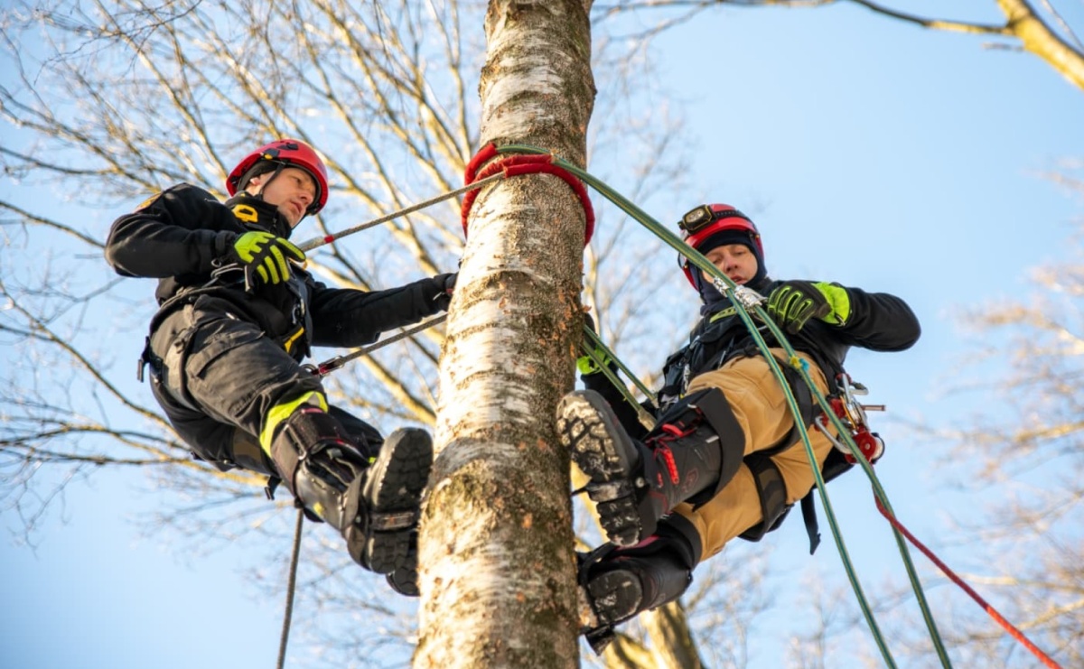 Ćwiczenia doskonalące z ratownictwa wysokościowego w Wodzisławiu Śląskim - Serwis informacyjny z Wodzisławia - naszwodzislaw.com
