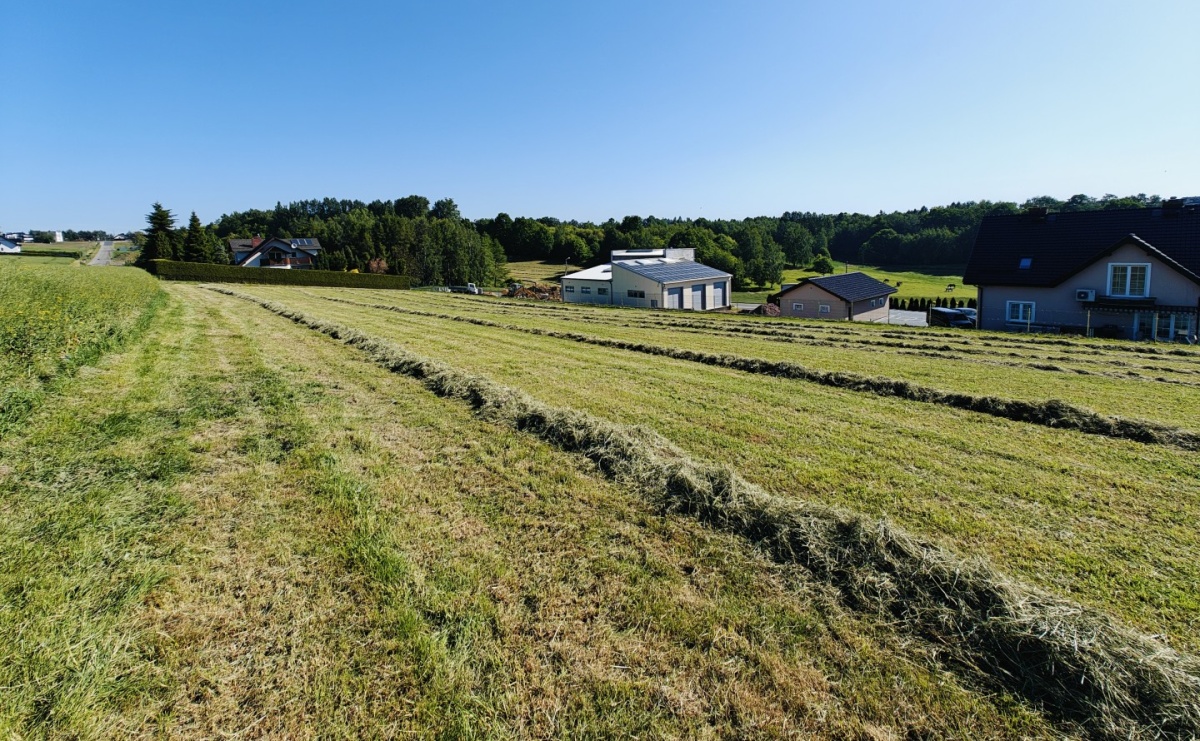 Mszana: Te nieruchomości są na sprzedaż - Serwis informacyjny z Raciborza - naszraciborz.pl