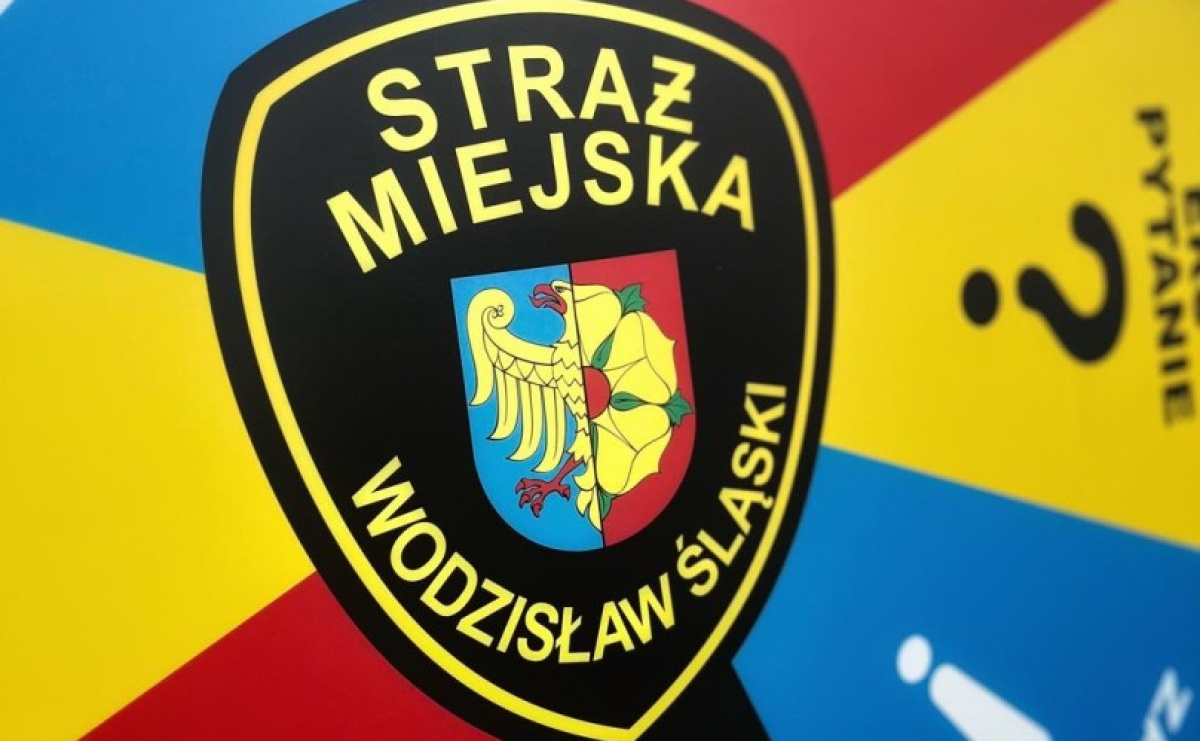 Bezpieczeństwo w mieście w 2025 roku. Straż Miejska w liczbach - Serwis informacyjny z Raciborza - naszraciborz.pl