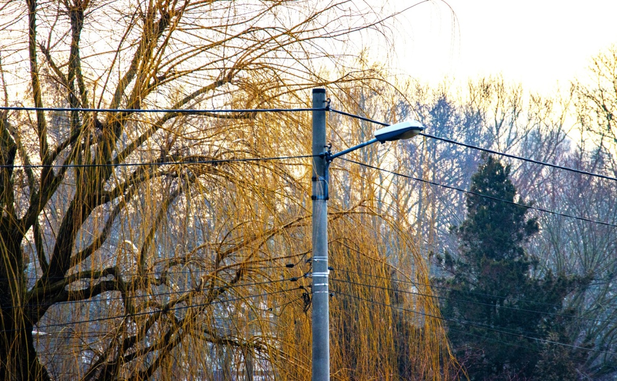 Wodzisław Śląski wnioskuje o nowe punkty oświetlenia i modernizację istniejących opraw - Serwis informacyjny z Raciborza - naszraciborz.pl