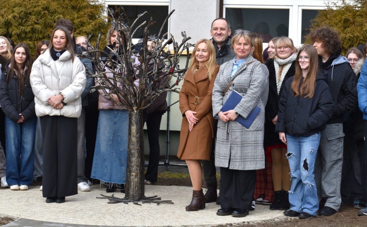 Drzewo, które zapuściło korzenie w relacjach. Symbol wspólnoty w wodzisławskim Tischnerze - Serwis informacyjny z Raciborza - naszraciborz.pl