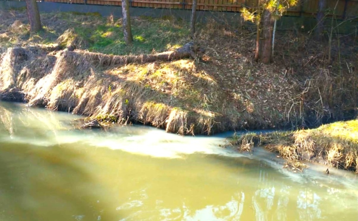 Zanieczyszczone rzeki pod lupą mieszkańców. Kolejny alarm nad Leśnicą - Serwis informacyjny z Raciborza - naszraciborz.pl