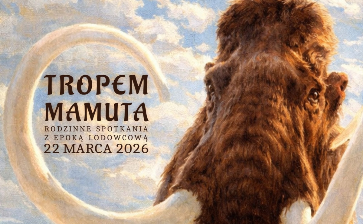 30 tysięcy lat historii. Cios mamuta ponownie w wodzisławskim muzeum - Serwis informacyjny z Raciborza - naszraciborz.pl