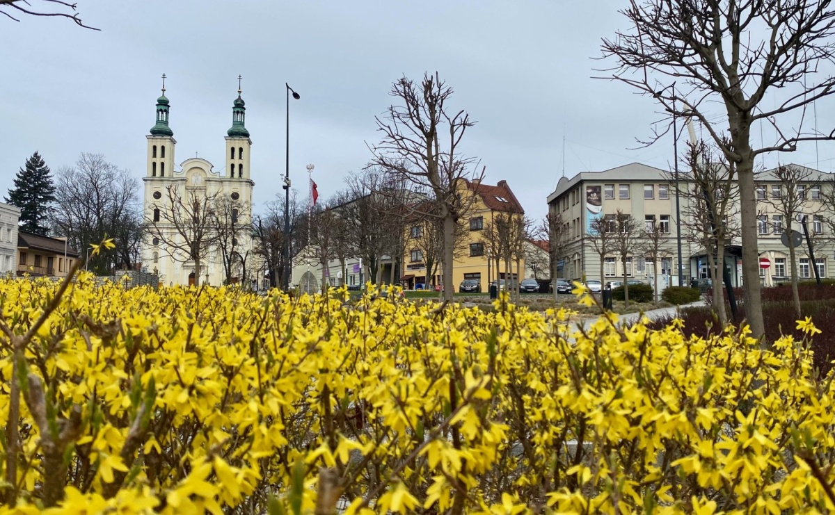 Ponad 22 mln zł dla mieszkańców Pszowa. Miasto inwestuje w ekologię i jakość życia mieszkańców - Serwis informacyjny z Raciborza - naszraciborz.pl