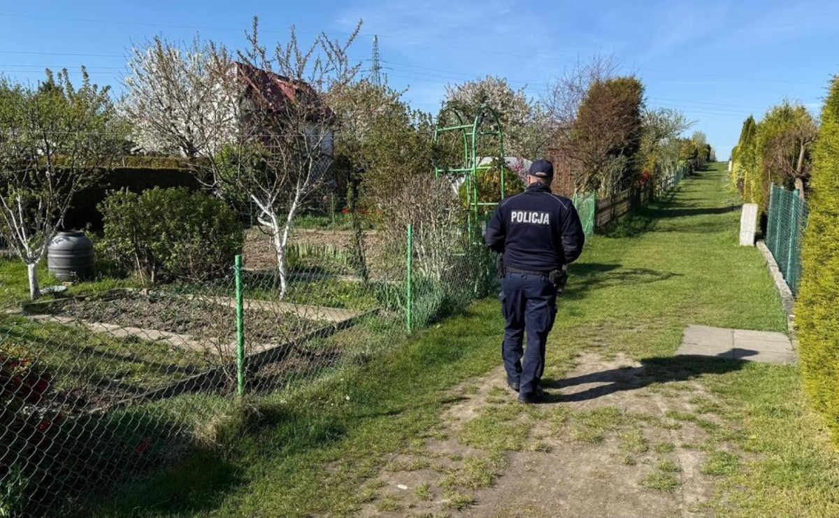 Wiosna na działkach. Sprawdź, jak uchronić altankę przed włamaniem - Serwis informacyjny z Raciborza - naszraciborz.pl