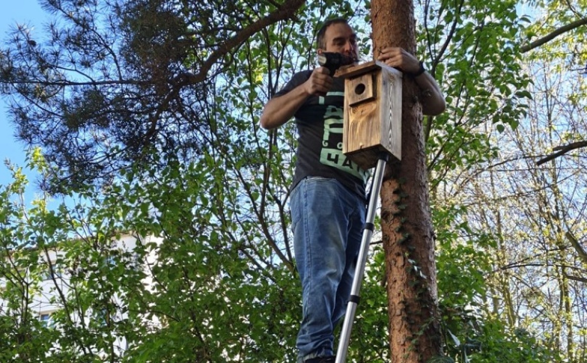Wodzisław 2.0 działa dla przyrody. Budki lęgowe w kolejnych lokalizacjach - Serwis informacyjny z Raciborza - naszraciborz.pl