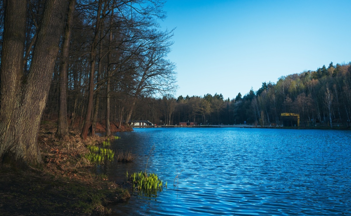 Co? Gdzie? Kiedy? Wodzisławski nawigator weekendowy - Serwis informacyjny z Raciborza - naszraciborz.pl