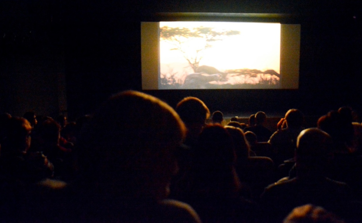 Czerwiec w Kinie Pegaz. Premiery, klasyka i kino autorskie w jednym repertuarze - Serwis informacyjny z Raciborza - naszraciborz.pl