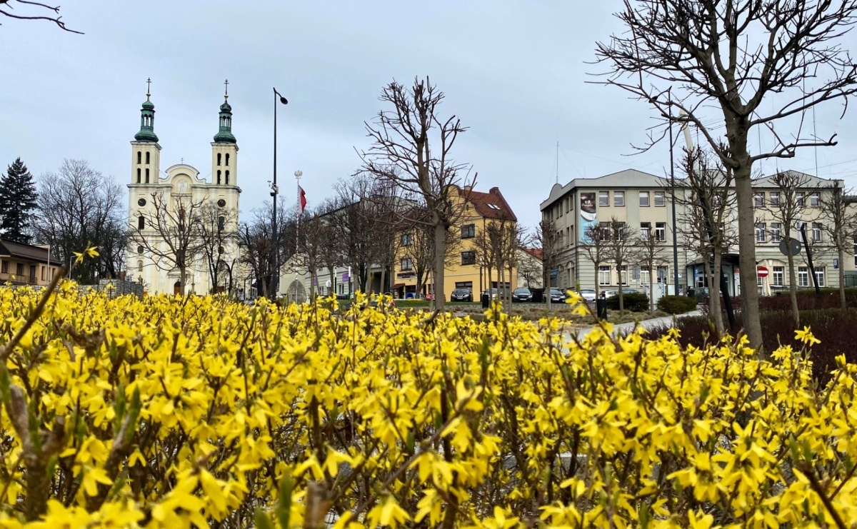 Które miasta i gminy regionu radzą sobie najlepiej? Nowy ranking przynosi dobre wiadomości - Serwis informacyjny z Raciborza - naszraciborz.pl